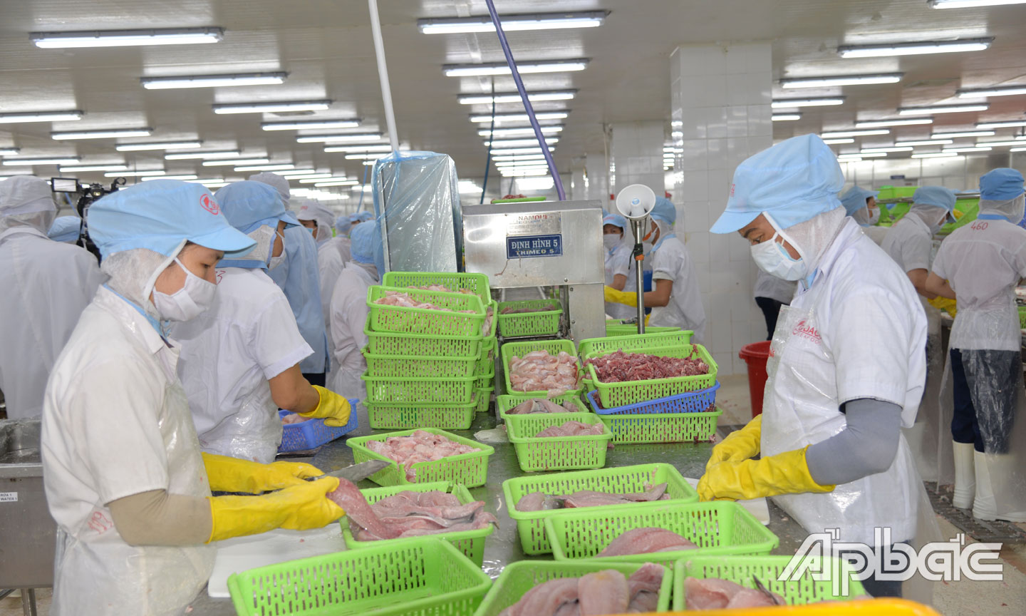 Xuất khẩu của Tiền Giang trong 6 tháng đầu năm 2021 có nhiều dấu hiệu khả quan.