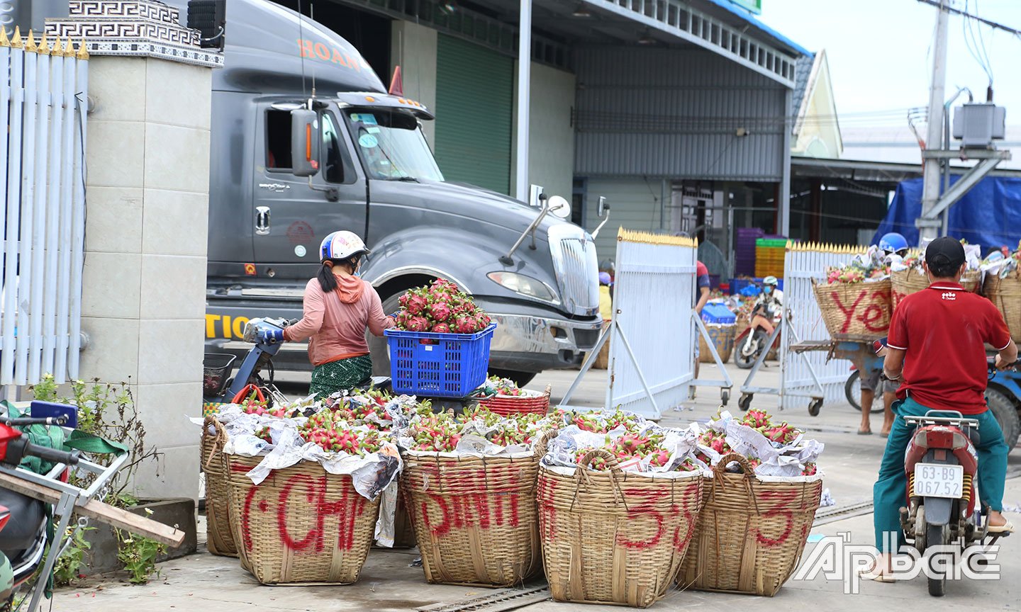 Hàng nông sản vẫn đảm bảo lưu thông thông suốt.