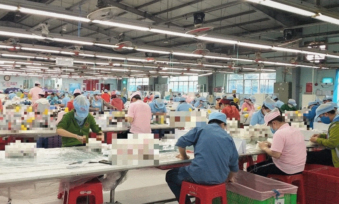 Lao động của Công ty TNHH 1TV DreamMekong trong đây chuyền sản suất. Ảnh minh họa