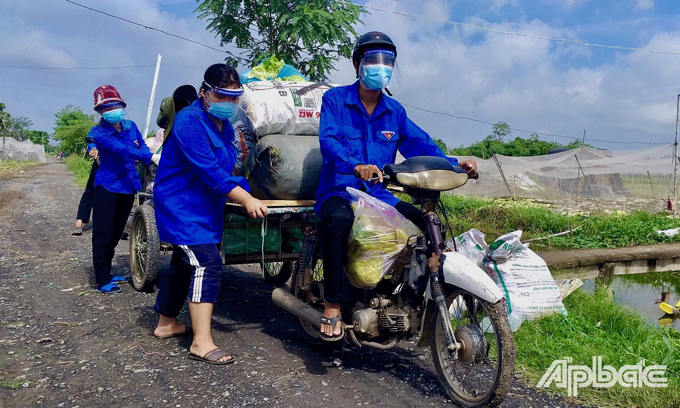 Cùng nhau vận chuyển rau đến xe tải lớn