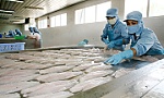 Nhiều giải pháp khơi thông tiêu thụ và xuất khẩu nông sản