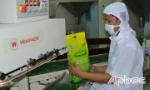 Lượng gạo của Tiền Giang đang dồi dào