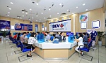 Hỗ trợ doanh nghiệp thu mua, tạm trữ thóc, gạo tại khu vực Đồng bằng sông Cửu Long