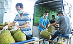 Tiền Giang: Nỗ lực 