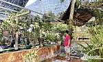 Để mỗi gia đình là một 