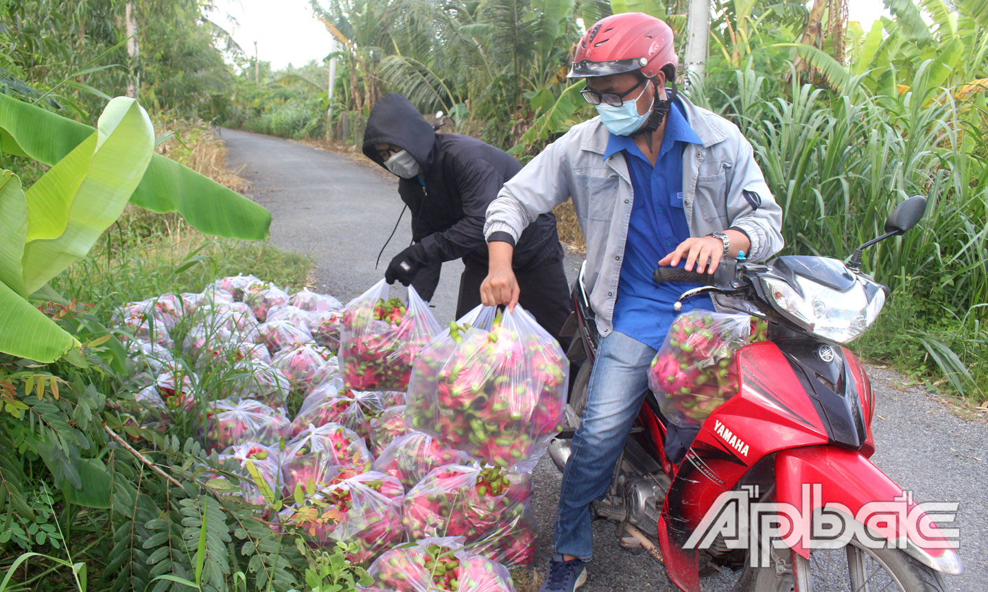 Đoàn viên hỗ trợ vận chuyển đến nơi tập kết.