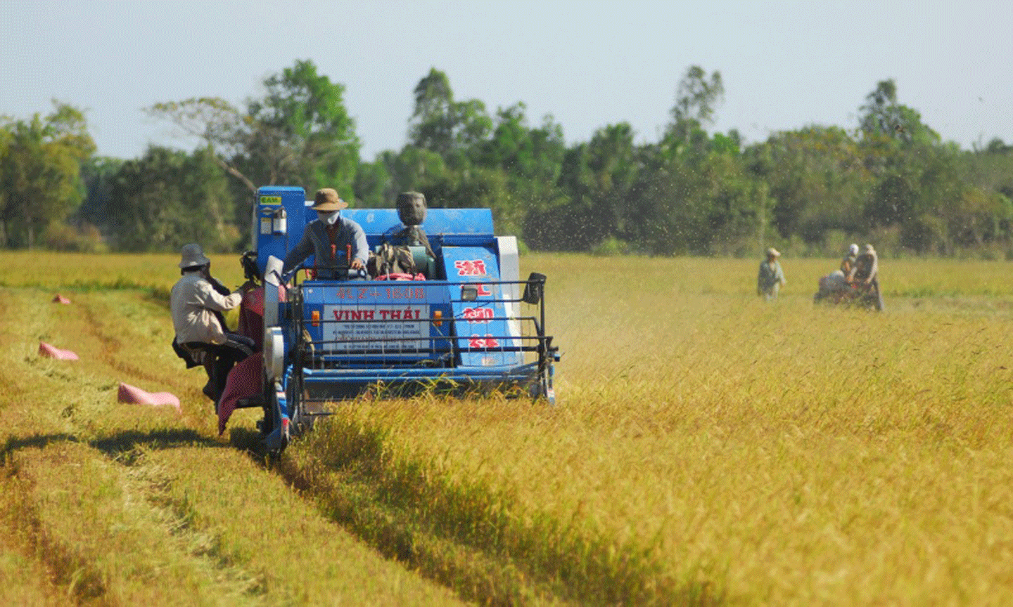 Nông dân đang gặp khó do giá vật tư nông nghiệp tăng cao. (Ảnh: Thanh Vũ)