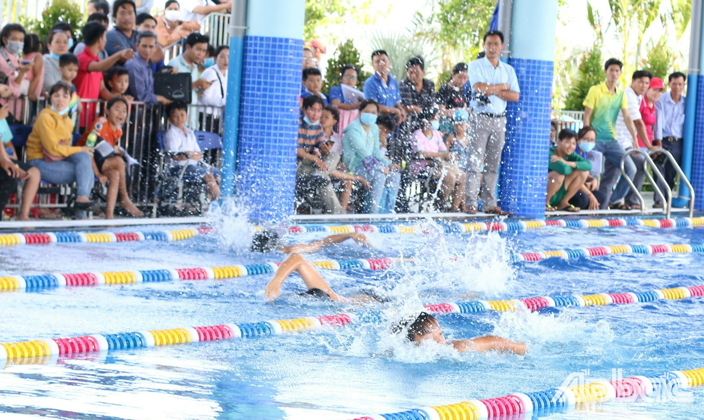 Giải bơi “Chú Ếch con” 