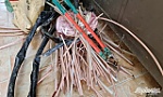 Công an huyện Tân Phước bắt 3 đối tượng trộm cắp tài sản