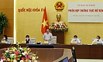 Hàng ngàn trang thông tin điện tử có tên miền 