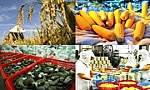 Xuất khẩu nông lâm thủy sản gặp khó do dịch Covid-19
