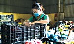 Tiền Giang: Trong khó khăn, mở ra cơ hội mới
