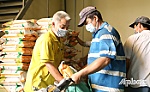 TP. Mỹ Tho: Các lĩnh vực thương mại, dịch vụ được phép hoạt động lại từ 1-10