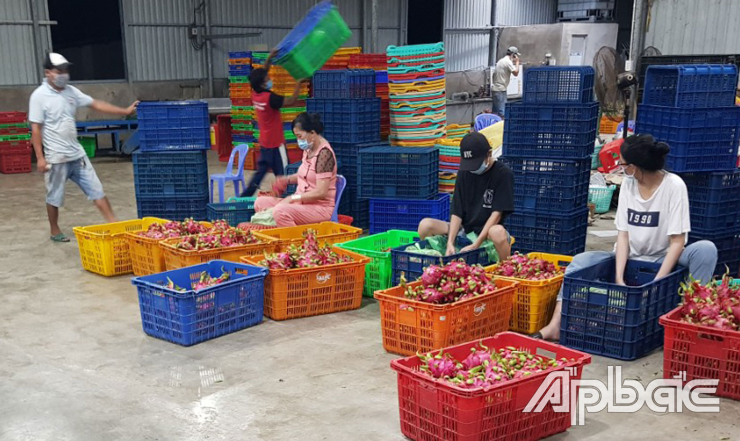 HTX Nông nghiệp sạch Hưng Thịnh Phát chuẩn bị combo giao TP. Hồ Chí Minh do Tổ Công tác 970 giới thiệu.
