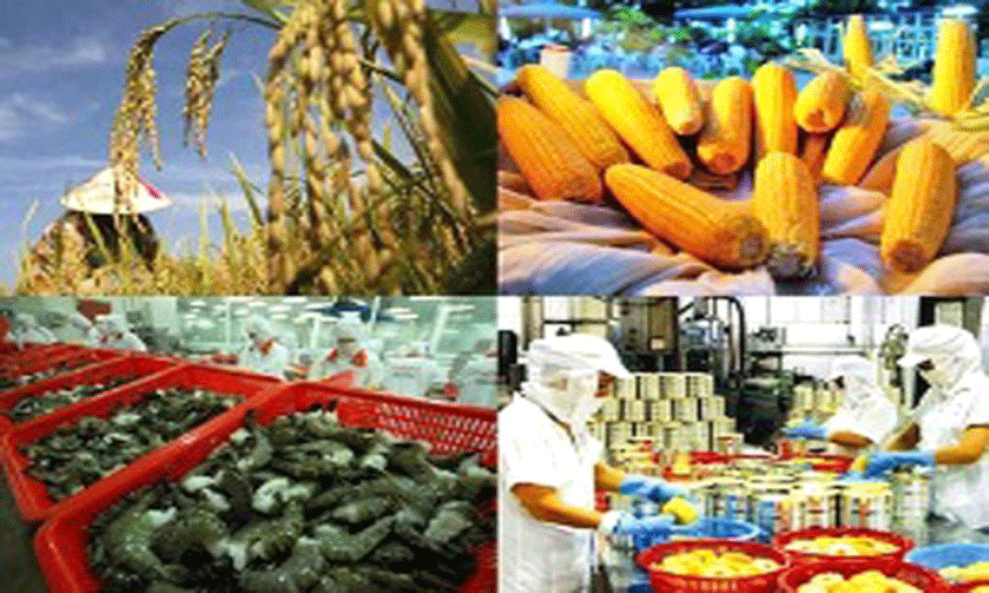 Tổng kim ngạch xuất nhập khẩu nông lâm thủy sản 8 tháng đầu năm ước đạt trên 60,9 tỷ USD.