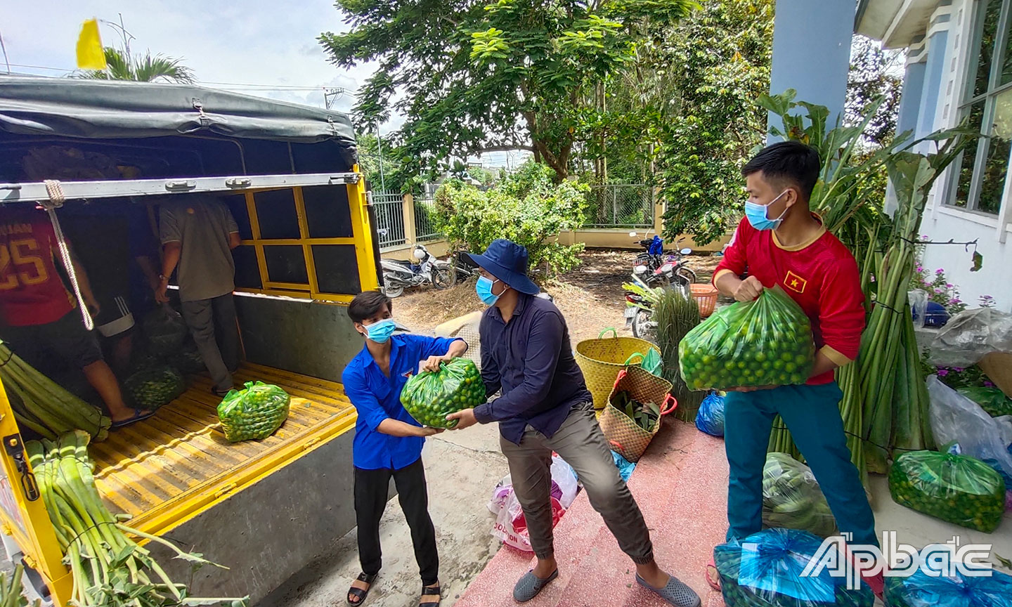 Hàng tấn rau, củ, quả được các đoàn viên thanh niên ở xã Ngũ Hiệp (huyện Cai Lậy) vận chuyển lên xe chuyển về điểm tập kết hỗ trợ người dân.