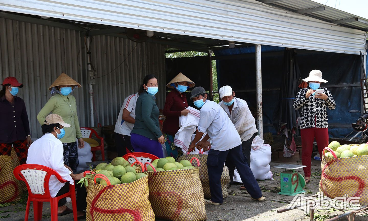 Nhiều đường mòn, lối mở vào khu tập kết Vĩnh Kim chưa được đảm bảo.