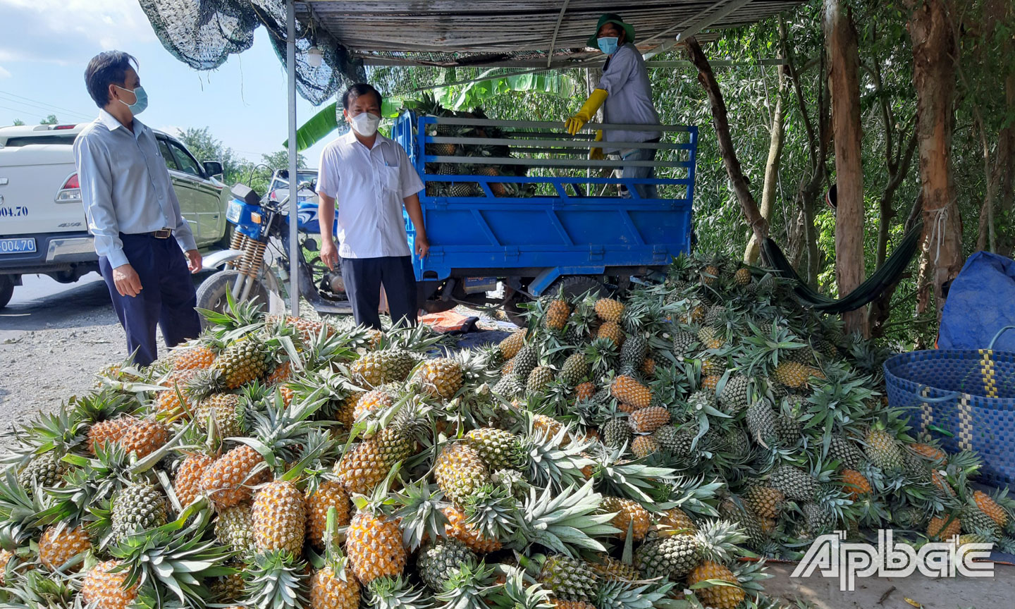Trong hoạt động xuất khẩu, mã số vùng trồng đang là “giấy thông hành” để nông sản xuất ngoại. 