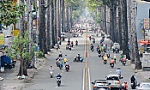 Toàn bộ hướng dẫn của TP Hồ Chí Minh về việc di chuyển trong địa bàn và ngoại tỉnh