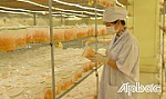 BÀI CUỐI: Trợ lực để vực dậy