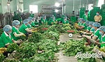 Tiền Giang: Kinh tế tập thể cần bước đi mới