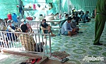 Triệt phá tụ điểm đá gà, tạm giữ 22 đối tượng