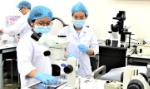 Nghịch lý mùa tuyển sinh
