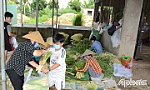 Nhiều nông sản giá thấp, tiêu thụ chậm