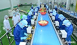 Đưa vào vận hành Nhà máy chế biến nông sản tại huyện Chợ Gạo