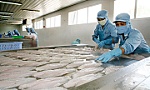 Không để lỡ nhịp tăng trưởng xuất khẩu nông sản