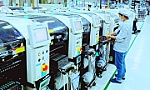 Điểm sáng của nền kinh tế