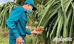 Phát huy truyền thống Bộ đội Cụ Hồ trong phòng, chống dịch Covid-19