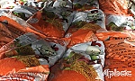 Phát hiện 10 tấn phân bón vi phạm nhãn hàng hóa