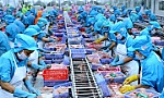 Ngành thủy sản nỗ lực vượt khó về đích