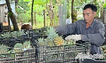 Tiền Giang: Tiếp tục đổi mới, nâng cao hiệu quả hoạt động kinh tế tập thể