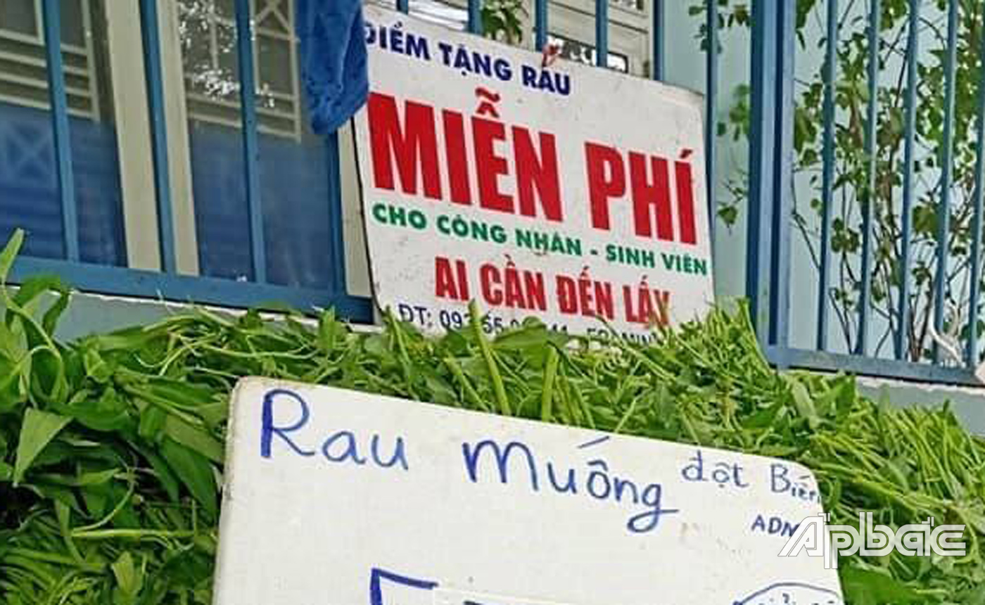 Dịch giã đã giúp cho cuộc sống có những cái nhìn tươi mới hơn.