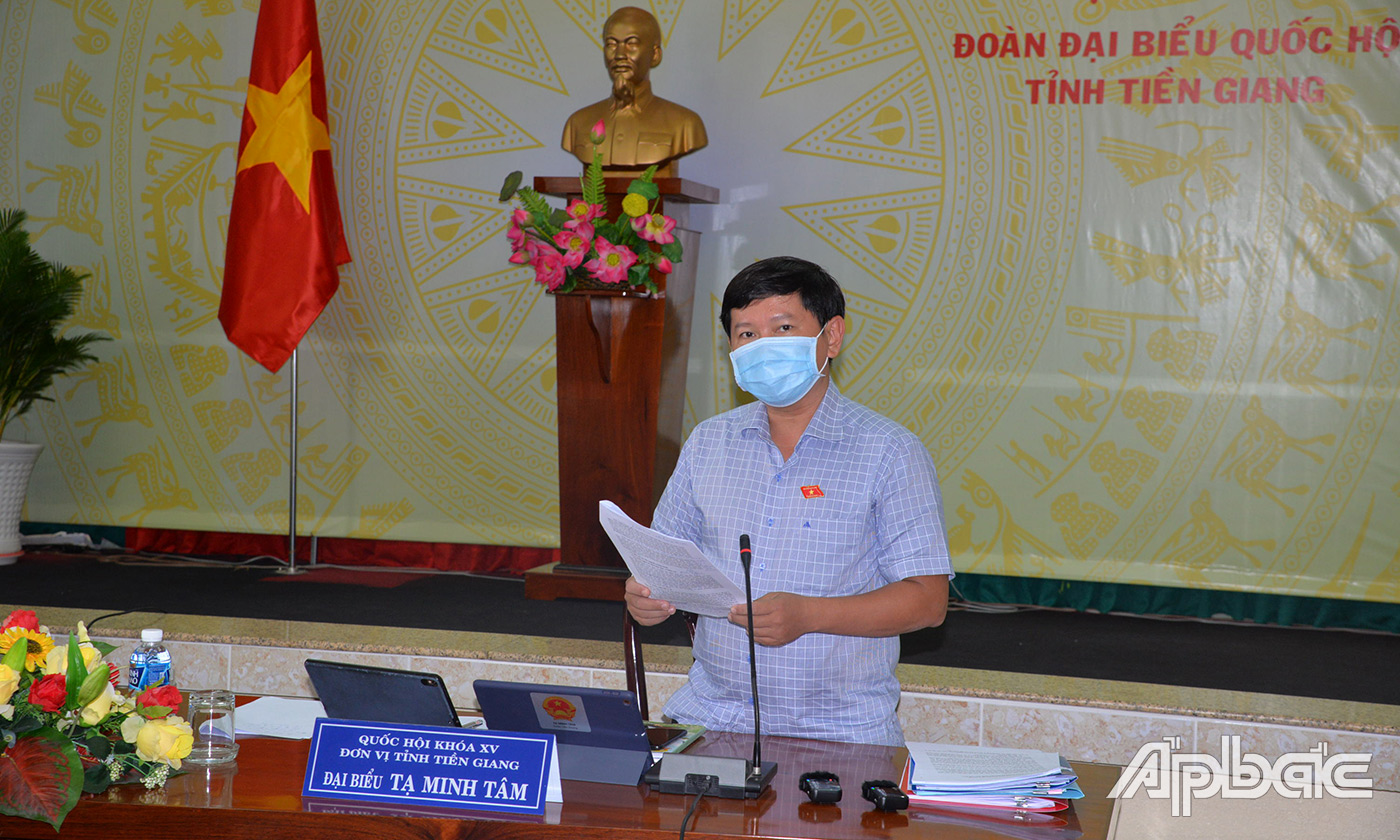 Phó trưởng đoàn ĐBQH  tỉnh Tạ Minh Tâm phát biểu tại buổi thảo luận tổ