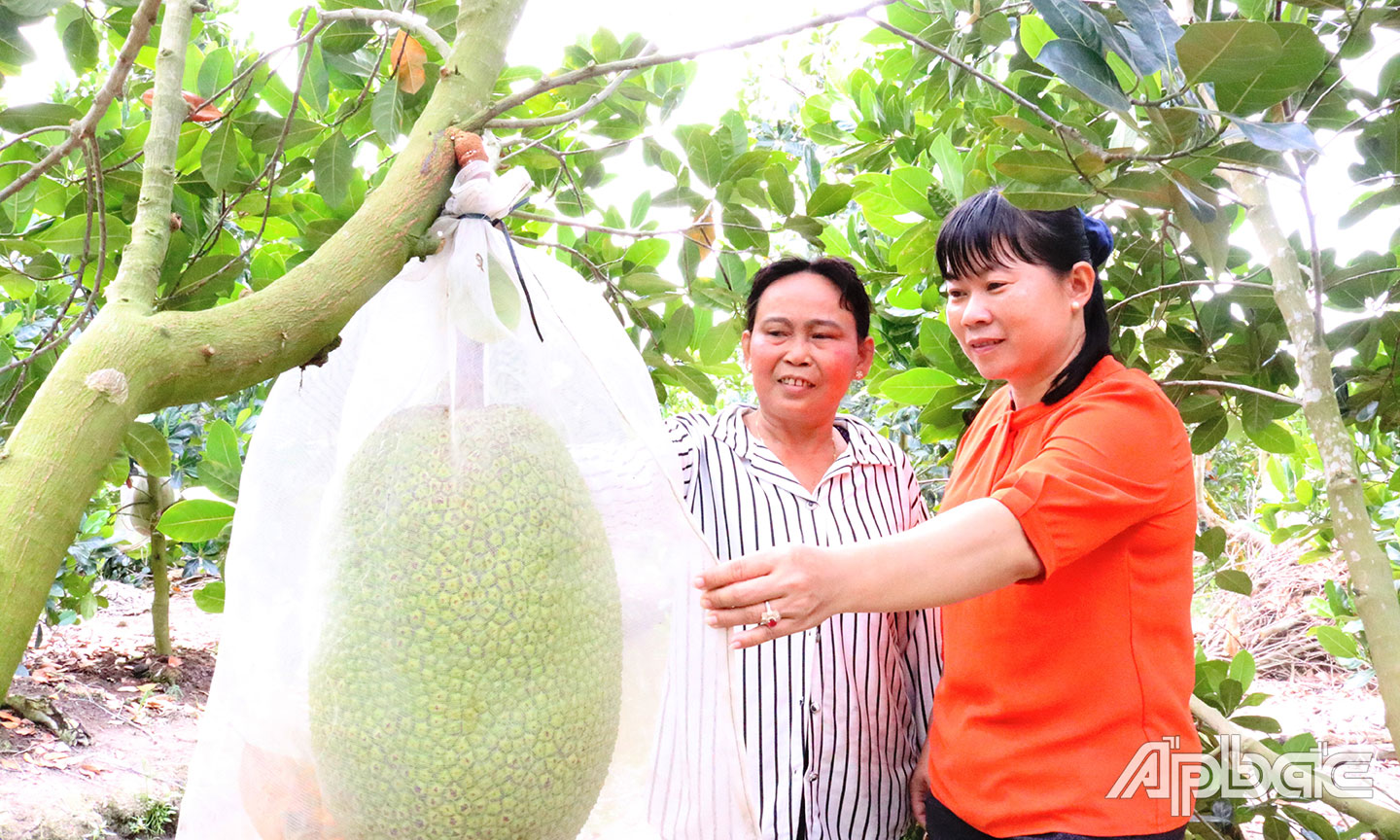 Bà Niệm, hội viên Chi hội Phụ nữ ấp 1, xã Phú An chăm sóc vườn cây của gia đình.