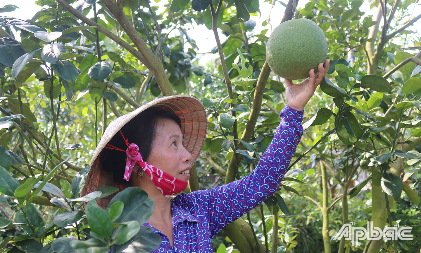 Chị Nhung, điển hình Chi hội trưởng Phụ nữ “hai giỏi”.