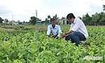 Tiền Giang: Chú trọng phát triển nguồn nhân lực hợp tác xã