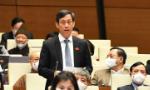 Cần giải pháp căn cơ trong công tác phòng, chống dịch