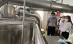 Khi sản phẩm đoạt giải đi vào sản xuất