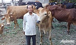 Chuyện anh nông dân nhận Bằng khen của Thủ tướng