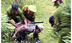 Tăng cường phòng, chống tội phạm trong tình hình mới