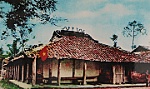 Cờ đỏ sao vàng trong cuộc khởi nghĩa Nam kỳ