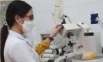 Nghiên cứu, tổng hợp thành công hợp chất Nitazoxanide để sản xuất thuốc điều trị Covid-19