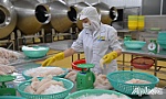 Nhiều giải pháp tiếp tục hỗ trợ khôi phục, thúc đẩy sản xuất, kinh doanh