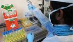 Một biến thể mới của virus SARS-CoV-2 mang số lượng đột biến 