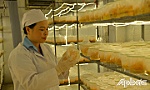 Nhân rộng hiệu quả sản phẩm OCOP