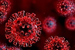 Bộ Y tế: Chủ động ngăn chặn biến chủng Omicron xâm nhập vào Việt Nam